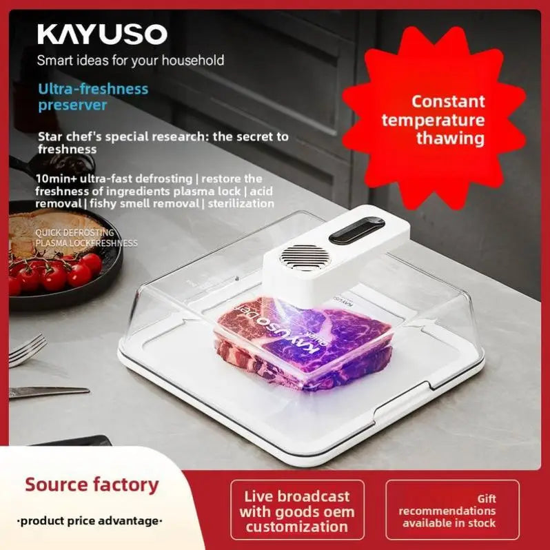 Y A8248 ABS Steak Heat Conduction Plate Rapid Intelligent Constant Temperature Defrosting Tray