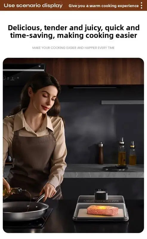 Y A8248 ABS Steak Heat Conduction Plate Rapid Intelligent Constant Temperature Defrosting Tray