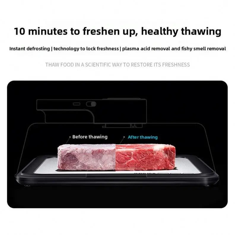 Y A8248 ABS Steak Heat Conduction Plate Rapid Intelligent Constant Temperature Defrosting Tray